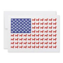 USA Dachshund Announcements