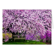USA, Delaware, Wilmington. Wooden bench under Cards