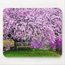 USA, Delaware, Wilmington. Wooden bench under Mousepads