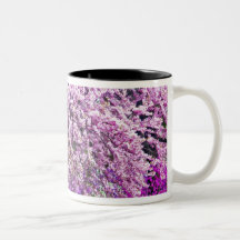 USA, Delaware, Wilmington. Wooden bench under Mugs
