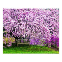 USA, Delaware, Wilmington. Wooden bench under Art Photo