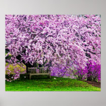 USA, Delaware, Wilmington. Wooden bench under