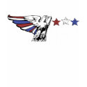 USA Eagle (Dark) shirt