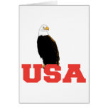 USA Eagle Greeting Cards
