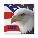 USA Eagle Magnet