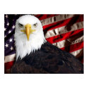 USA Eagle Patriotic posters by grafix_n_jax USA Eagle Patriotic posters