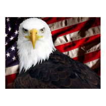 USA Eagle Patriotic posters by grafix_n_jax USA Eagle Patriotic posters