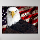 USA Eagle Patriotic Print - American Eagle posing in front of an American Flag.