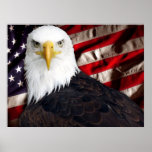 USA Eagle Patriotic Print