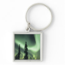 USA, Fairbanks area, Central Alaska, Aurora 2 Key Chain