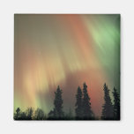 USA, Fairbanks area, Central Alaska, Aurora 3 Refrigerator Magnet