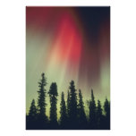 USA, Fairbanks area, Central Alaska, Aurora Photographic Print
