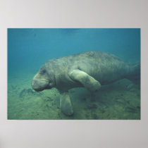 USA, FL, Manatee