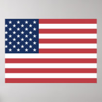 Usa Flag Poster