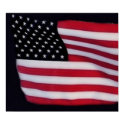 USA Flag print