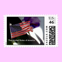 USA Flag . stamps