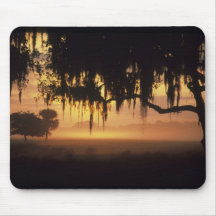 USA, Florida, Lake Kissimmee. Sunrise silhouette Mouse Pads