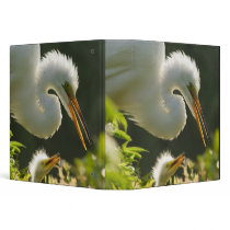 USA, Florida, St. Augustine, Alligator farm 3 Ring Binders