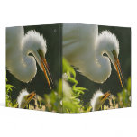 USA, Florida, St. Augustine, Alligator farm binders