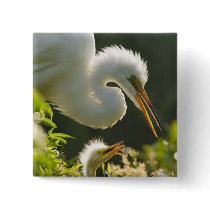 USA, Florida, St. Augustine, Alligator farm Pin