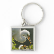 USA, Florida, St. Augustine, Alligator farm Key Chain