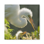 USA, Florida, St. Augustine, Alligator farm magnets