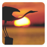 USA, Florida, St. Petersburg, Fort De Soto stickers