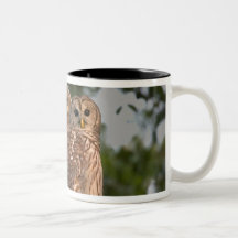 USA, Florida, Viera Wetlands. Three barred Coffee Mug