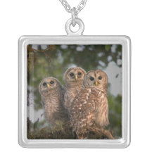USA, Florida, Viera Wetlands. Three barred Personalized Necklace