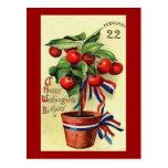 USA Geo Washingtons Birthday Post Cards