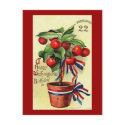 USA Geo Washingtons Birthday postcards