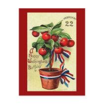 USA Geo Washingtons Birthday postcards by redwhiteandblue USA Geo Washingtons Birthday postcards