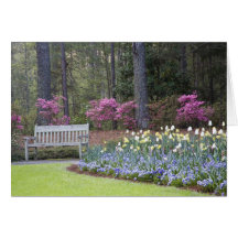 USA, Georgia, Pine Mountain. A border of Cards