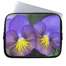 USA, Georgia, Pine Mountain. A closeup of pansy Laptop Computer Sleeve