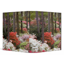 USA, Georgia, Pine Mountain. A forest of Vinyl Binder