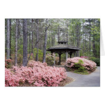 USA, Georgia, Pine Mountain. A gazebo amongst Card