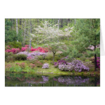 USA, Georgia, Pine Mountain. A mixture of Greeting Cards