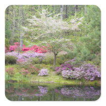 USA, Georgia, Pine Mountain. A mixture of Square Stickers