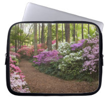 USA, Georgia, Pine Mountain. A pathway through Laptop Sleeve