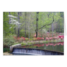 USA, Georgia, Pine Mountain. A small waterfall Greeting Cards