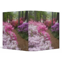 USA; Georgia; Pine Mountain. Azaleas at 2 Binders