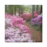 USA; Georgia; Pine Mountain. Azaleas at 2 Refrigerator Magnets