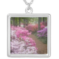 USA; Georgia; Pine Mountain. Azaleas at 2 Pendants