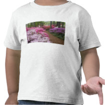 USA; Georgia; Pine Mountain. Azaleas at 2 Tshirt