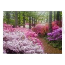 USA; Georgia; Pine Mountain. Azaleas at Greeting Card