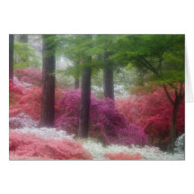 USA; Georgia; Pine mountain. Azaleas at Cards