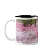USA; Georgia; Pine Mountain. Azaleas at Mug