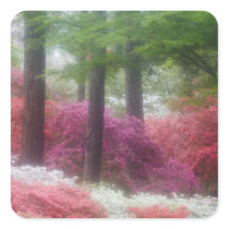 USA; Georgia; Pine mountain. Azaleas at Square Stickers