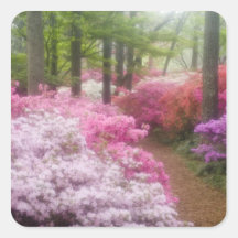 USA; Georgia; Pine Mountain. Azaleas at Sticker