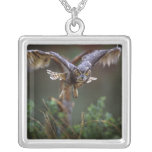 USA, Georgia, Pine Mountain, Callaway Gardens. Pendants